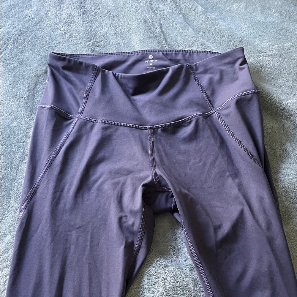 Apana Deep Purple Leggings
